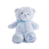 Blue Best Friend Baby Plush Bear from California Baskets - California Delivery