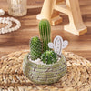 Cactus Planter Gift, plant gift, plant, cactus gift, cactus, California delivery