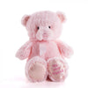 Pink Best Friend Baby Plush Bear from California Baskets - California Delivery