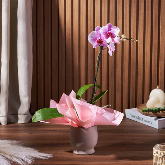 Potted Mini Phalaenopsis Orchid, plant gift, plant, flower gift, flower, orchid gift, orchid, California delivery