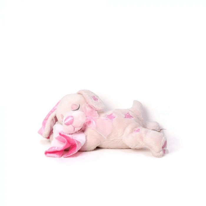 Welcome Newborn Baby Girl Gift Basket from California Baskets - Baby Gift Set - California Delivery